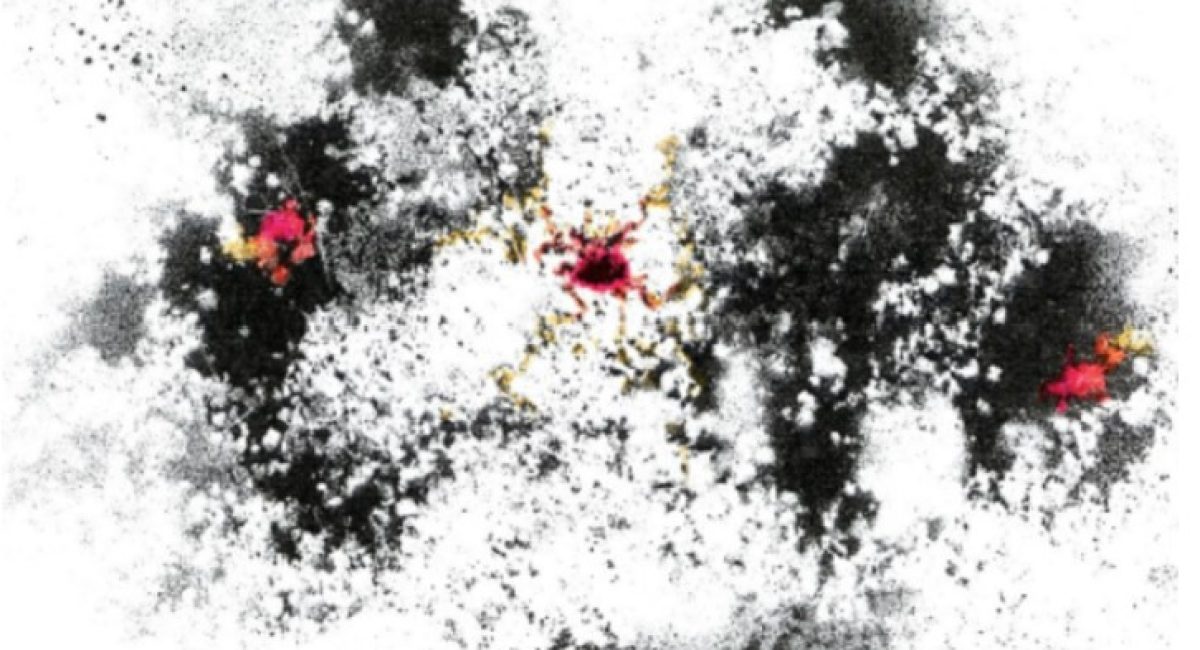 Nebula - Brian Schorn